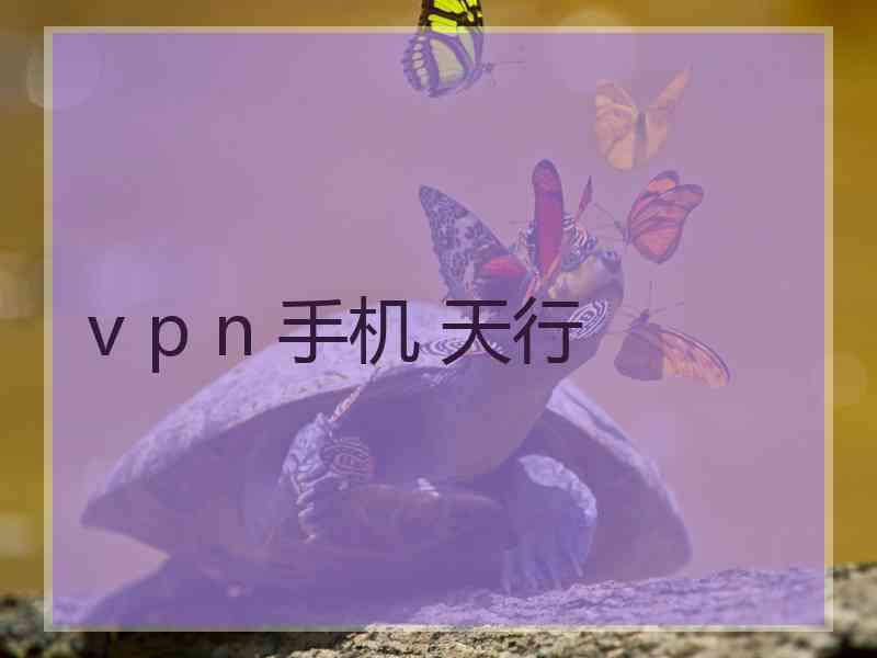 v p n 手机 天行