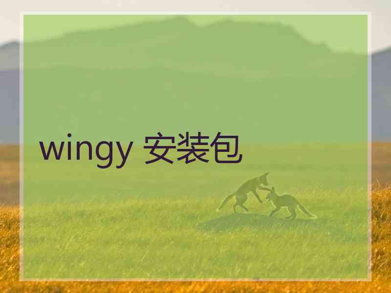 wingy 安装包