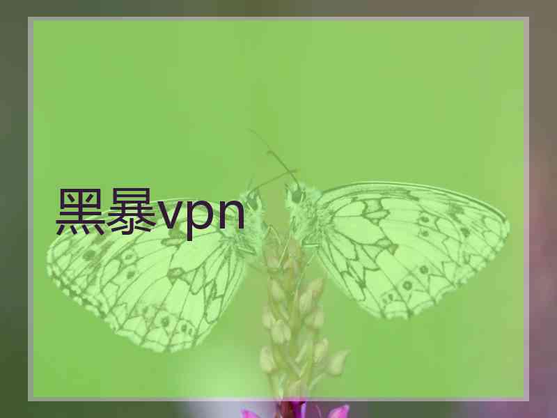 黑暴vpn