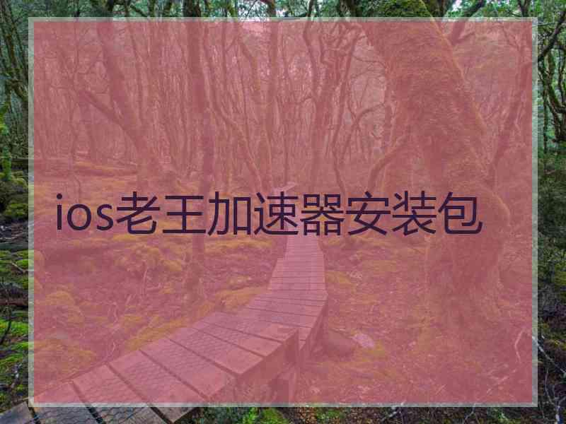 ios老王加速器安装包