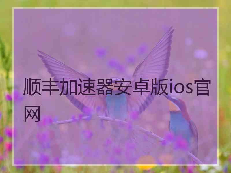 顺丰加速器安卓版ios官网