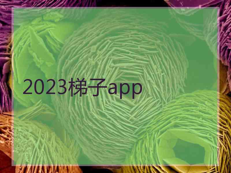 2023梯子app