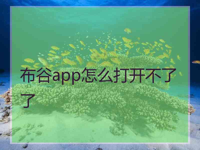 布谷app怎么打开不了了