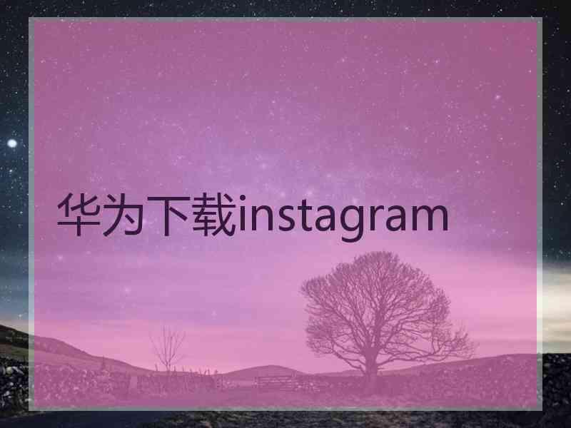 华为下载instagram