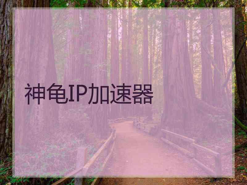 神龟IP加速器