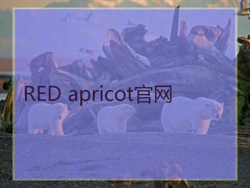 RED apricot官网