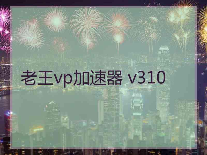 老王vp加速器 v310