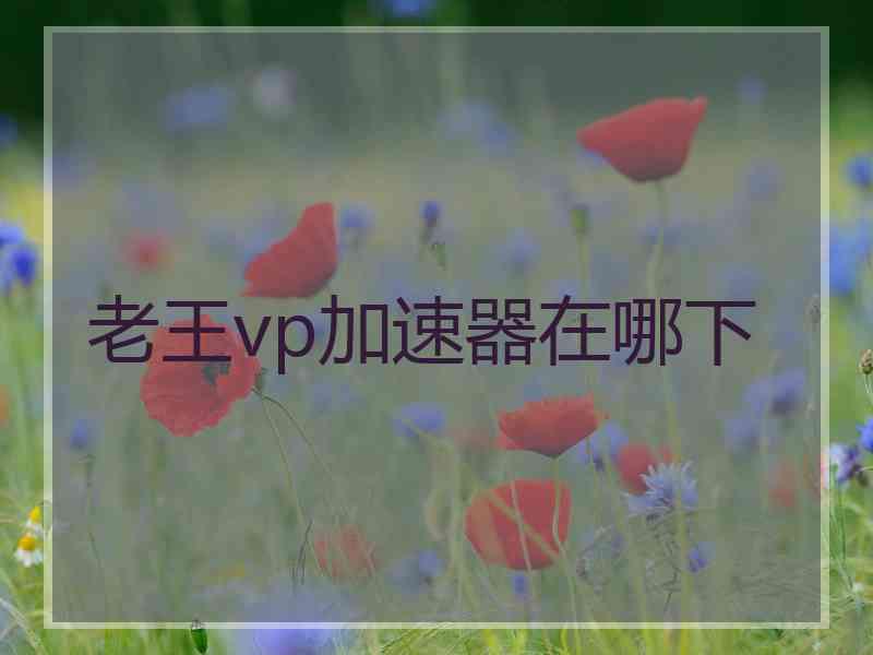 老王vp加速器在哪下