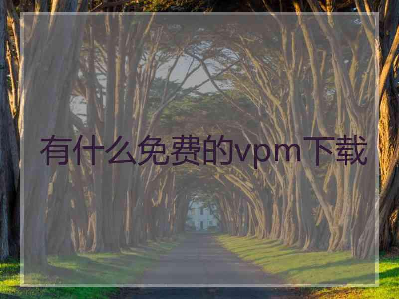 有什么免费的vpm下载