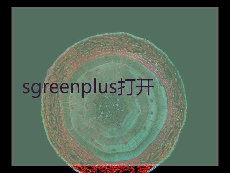 sgreenplus打开