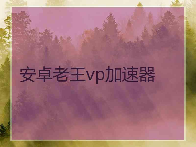 安卓老王vp加速器