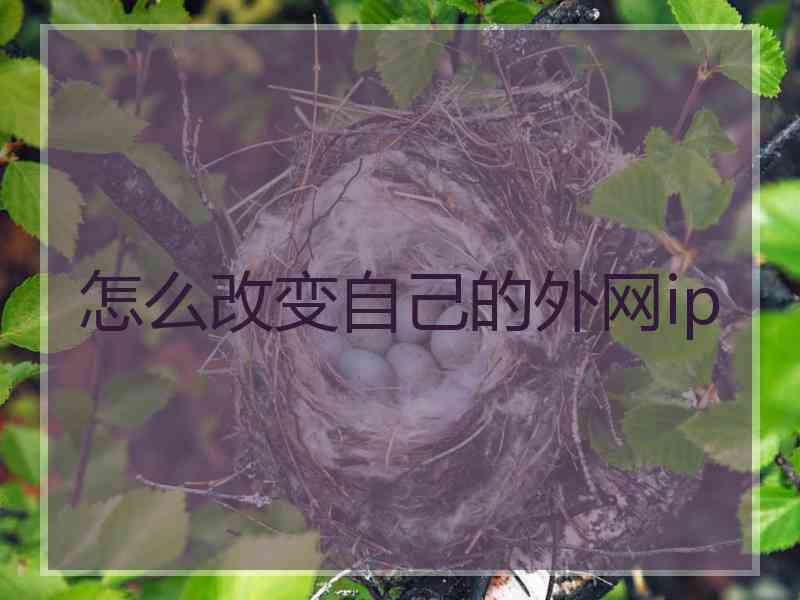 怎么改变自己的外网ip