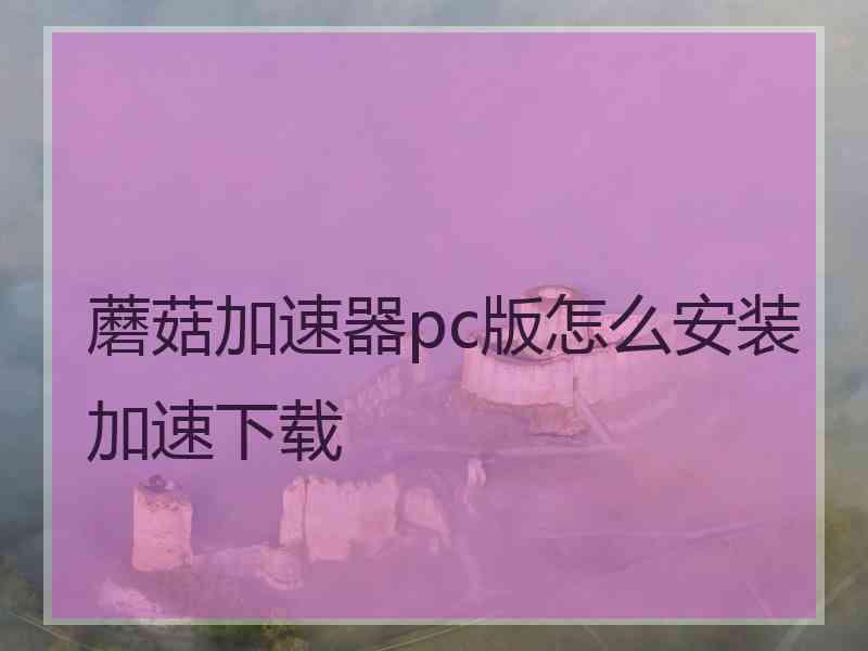 蘑菇加速器pc版怎么安装加速下载