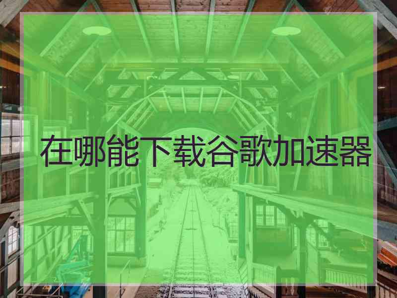 在哪能下载谷歌加速器