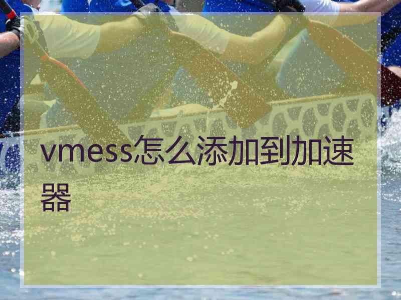 vmess怎么添加到加速器