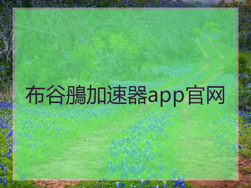 布谷鴅加速器app官网