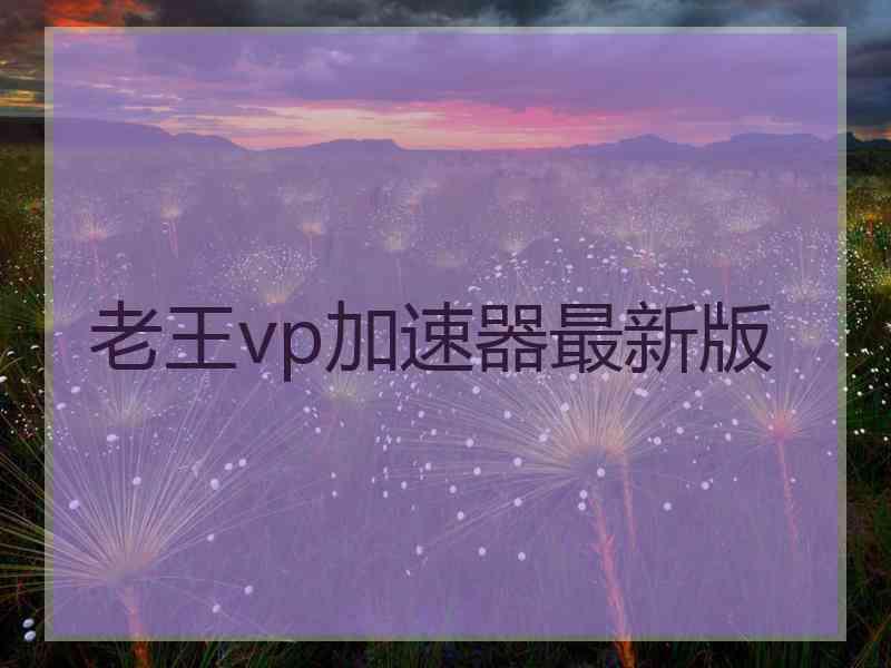 老王vp加速器最新版